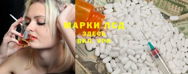 индика Михайлов
