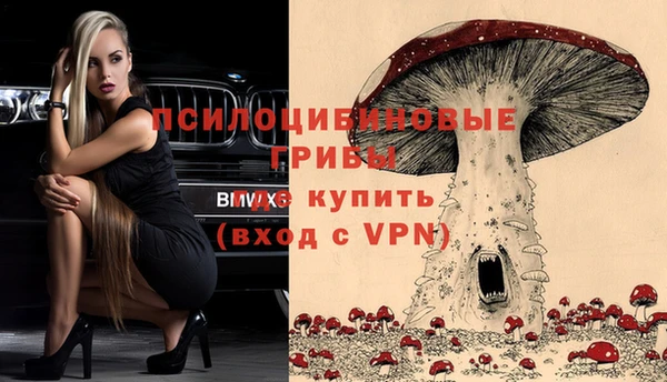 2c-b Михайловка