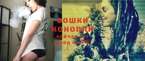 индика Михайлов