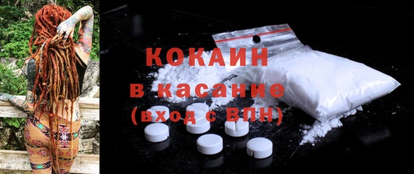 индика Михайлов