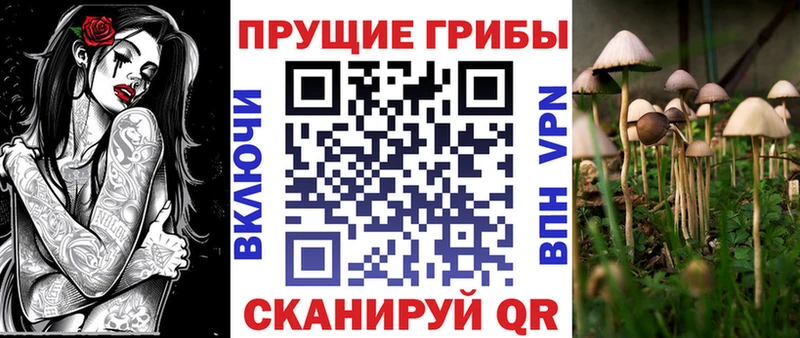 сайты даркнета наркотические препараты  купить  цена  OMG зеркало  Питкяранта  Галлюциногенные грибы Psilocybe 